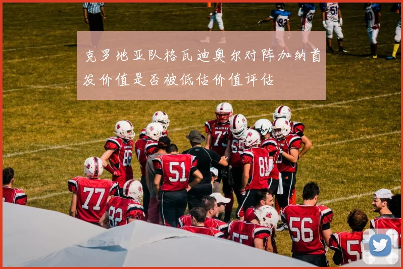 克罗地亚队格瓦迪奥尔对阵加纳首发价值是否被低估价值评估