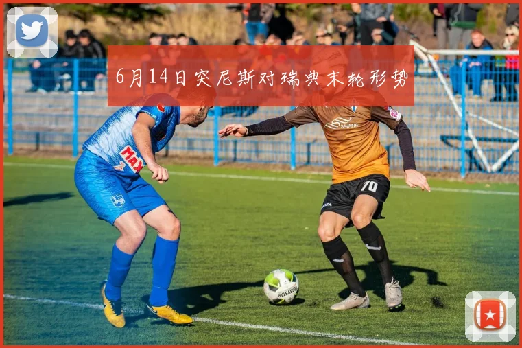 6月14日突尼斯对瑞典末轮形势