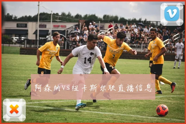阿森纳vs纽卡斯尔联直播信息