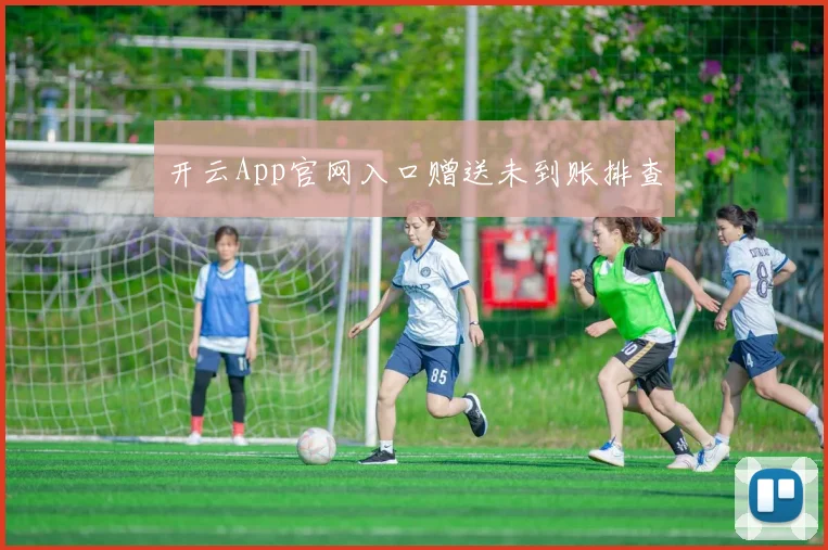 开云App官网入口赠送未到账排查