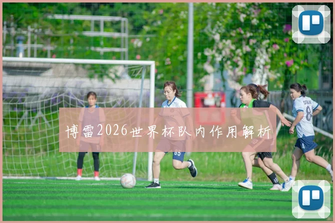 博雷2026世界杯队内作用解析